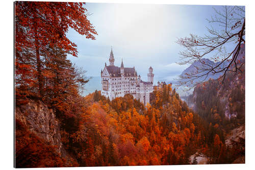 Tableau en plexi-alu Neuschwansteinschloss