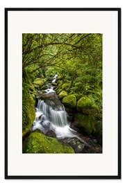 Gerahmter Kunstdruck Waldbach mit Wasserfall