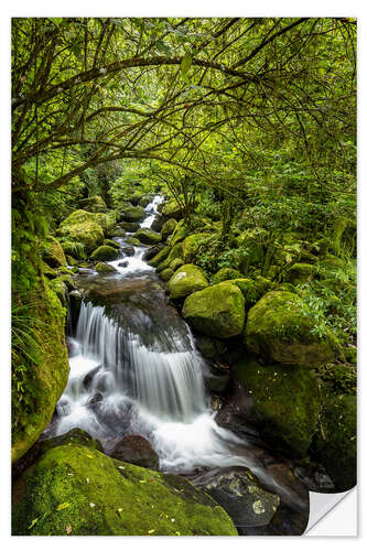 Autocolante decorativo Forest stream with waterfall