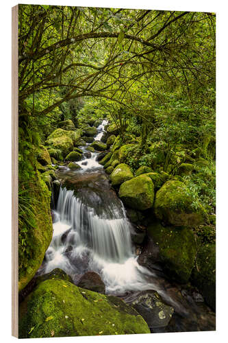 Puutaulu Forest stream with waterfall