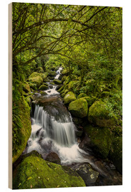 Hout print  Forest stream with waterfall - Thomas Klinder