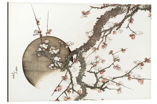 Aluminium print Plum blossom and the moon