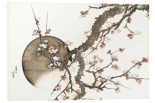 PVC print Plum Blossoms and Moon