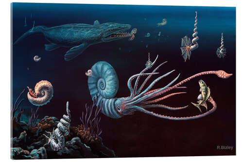 Akrylbilde Cretaceous marine animals, artwork