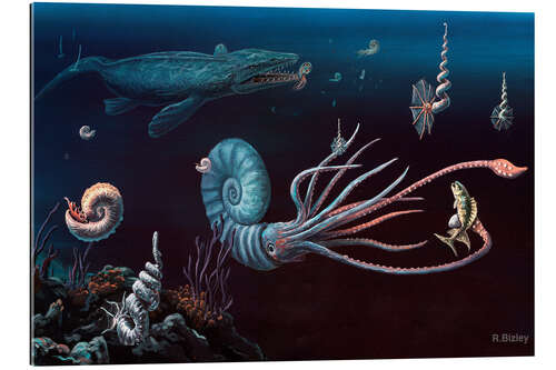 Quadro em plexi-alumínio Cretaceous marine animals, artwork