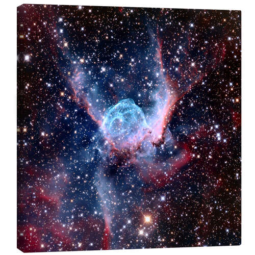 Canvas print NGC 2359 nebular, optical image