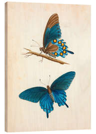 Tableau en bois Papillon machaon