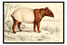 Gerahmter Kunstdruck Indischer Tapir