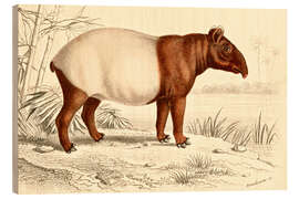 Hout print Indian tapir