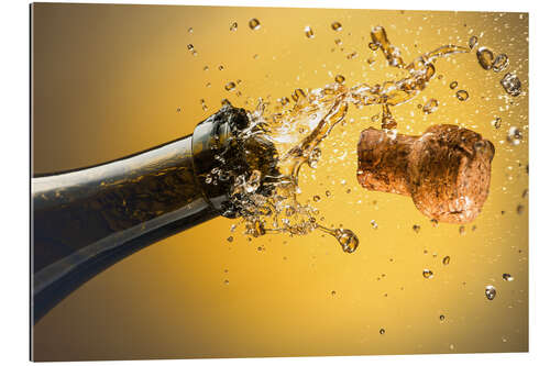 Stampa su plexi-alluminio Champagne bottle and cork