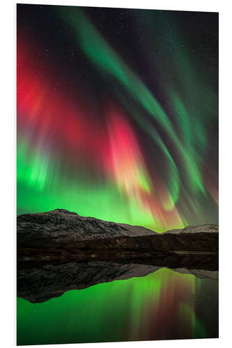 Foam board print Aurora Borealis, Norway I