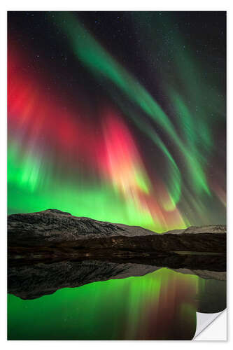 Wandsticker Aurora Borealis, Norwegen I