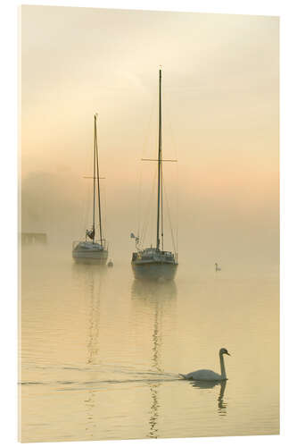 Quadro em acrílico A misty morning over Lake Windermere, UK