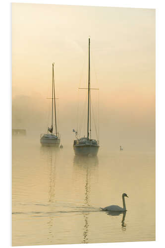 Tableau en PVC Matin brumeux sur le lac Windermere, Royaume-Uni