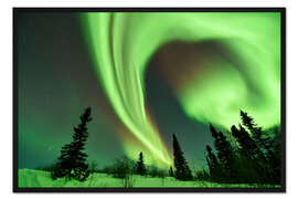 Gerahmter Kunstdruck Aurora borealis over trees
