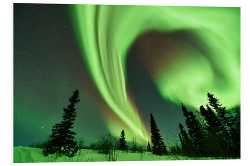 Quadro em PVC Aurora borealis over trees