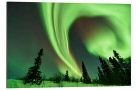 Magnettafel Aurora borealis over trees