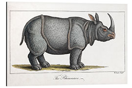 Tableau en aluminium Rhinocéros indien, 1823