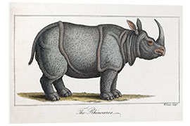 Foam board print Indian Rhinoceros, 1823