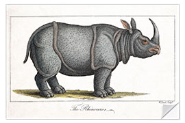 Selvklebende plakat Indiske Rhinoceros, 1823