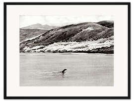 Gerahmter Kunstdruck Nessi, das Monster von Loch Ness