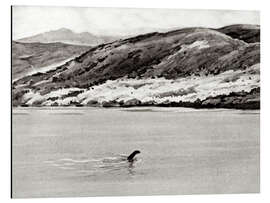 Magnettafel Nessi, das Monster von Loch Ness