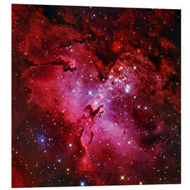 Foam board print Eagle Nebula, optical image