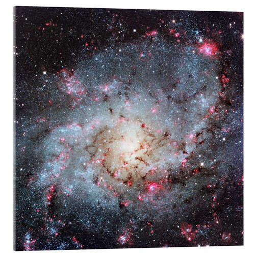 Acrylic print Triangulum Galaxy, optical image