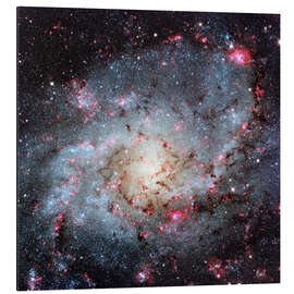 Print på aluminium Triangulum Galaxy, optical image