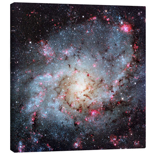 Stampa su tela Triangulum Galaxy, optical image