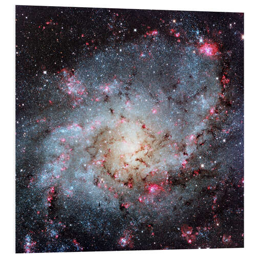 Foam board print Triangulum Galaxy, optical image