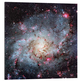 Gallery print Triangulum Galaxy, optical image