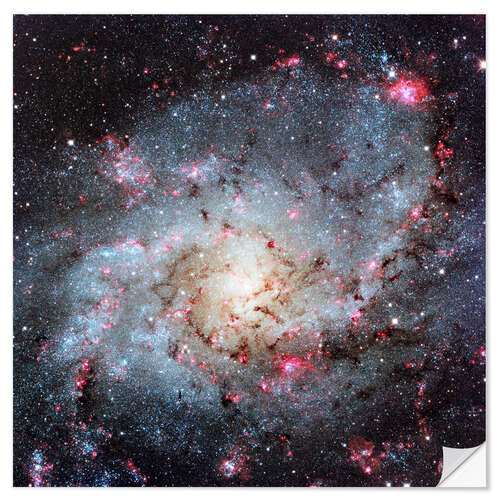 Muursticker Triangulum Galaxy, optical image