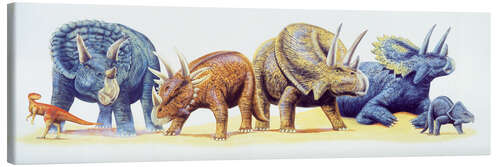 Canvas-taulu Ceratopsid dinosaurs, illustration