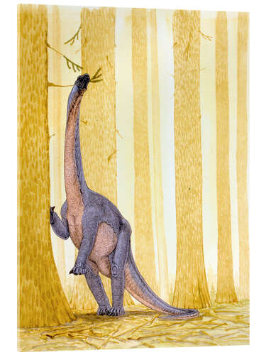 Obraz na szkle akrylowym Barapasaurus dinosaur, illustration