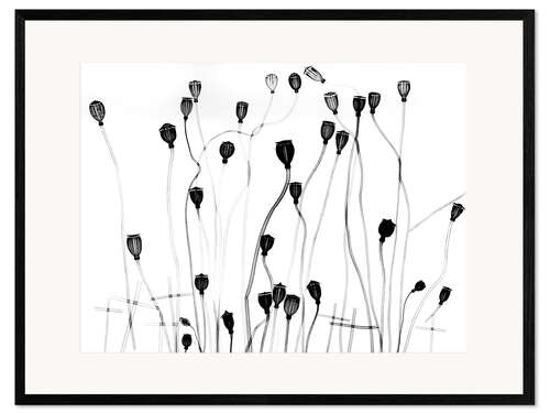 Impressão artística com moldura Seedheads papoula, raio-x