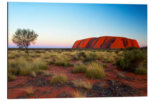 Aluminiumsbilde Uluru, Australia