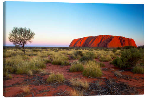 Canvas print Uluru, Australia