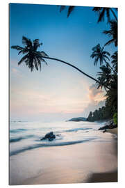 Gallery print Mirissa Beach, Mirissa, Matara District, Southern Province, Sri Lanka, Asia