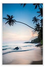 Wandbild  Mirissa Beach, Mirissa, Matara District, Southern Province, Sri Lanka, Asia - John Alexander