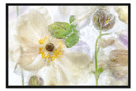 Gerahmter Kunstdruck Anemone Eis