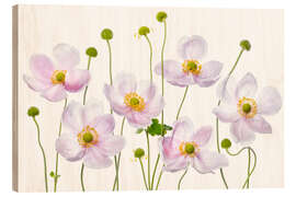 Stampa su legno Japanese Anemones