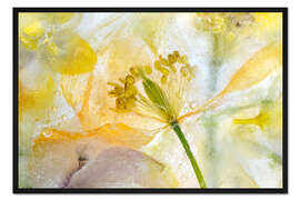 Gerahmter Kunstdruck Welsh Poppy