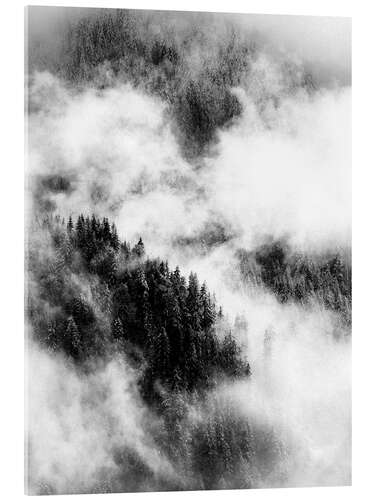 Akrylglastavla Cloudy treetops of the nearby mountain