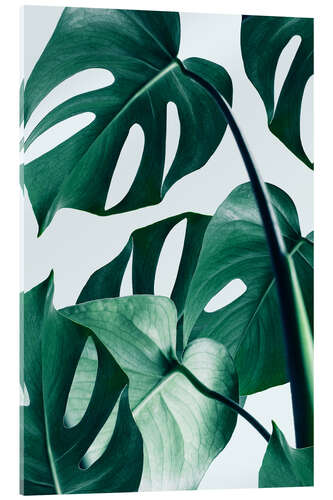 Tableau en verre acrylique Monstera