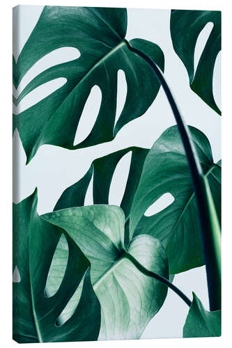 Tableau sur toile Monstera