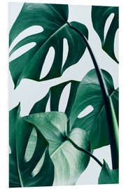 Foam board print Monstera