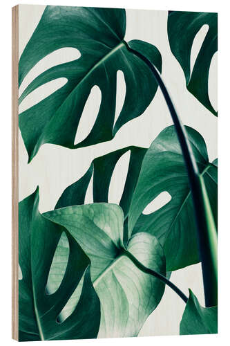 Wood print Monstera