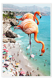 Poster  Flamingos on the beach - Uma 83 Oranges