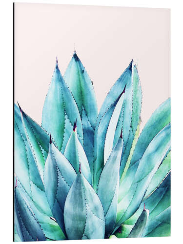 Aluminium print Agave watercolor